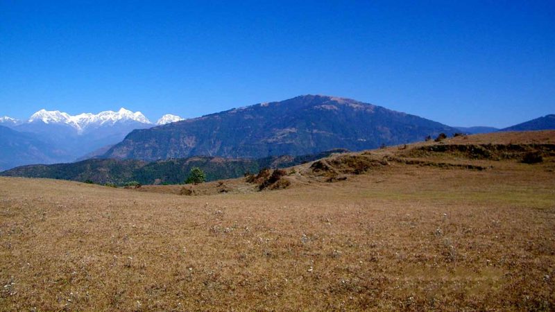 हेल्लो, थोले देम्बा !   –चक्र कार्की