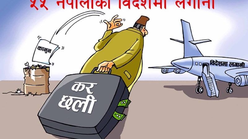 ५५ नेपालीको विदेशमा लगानी
