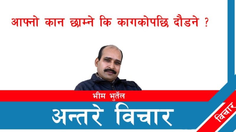आफ्नो कान छाम्ने कि कागकोपछि दौडने ?