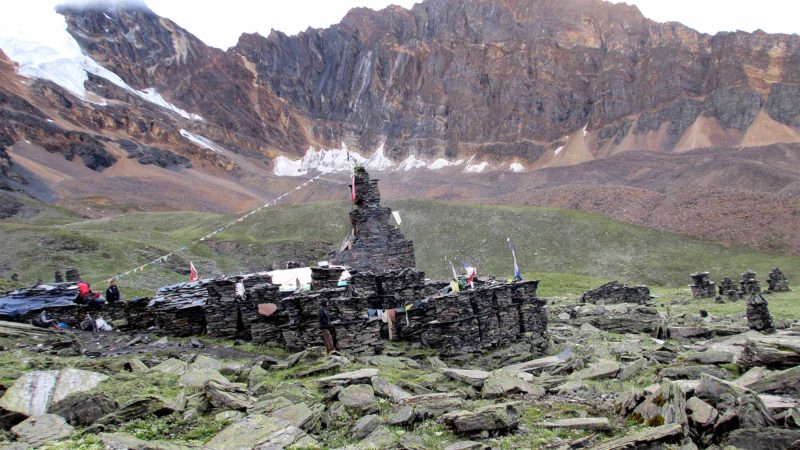 छायानाथ शरणं