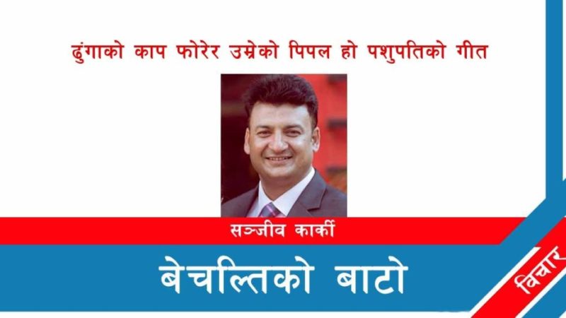 ढुंगाको काप फोरेर उम्रेको पिपल हो पशुपतिको गीत !