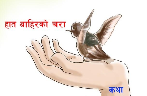 कथा : हात बाहिरको चरा