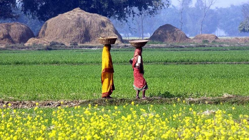 संविधानलाई मन्दविषको सुई  – चन्द्रकिशोर