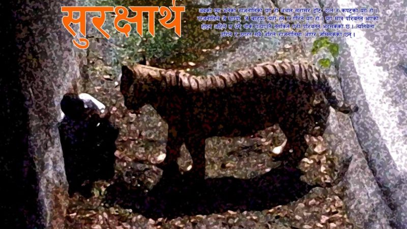 सुरक्षार्थ