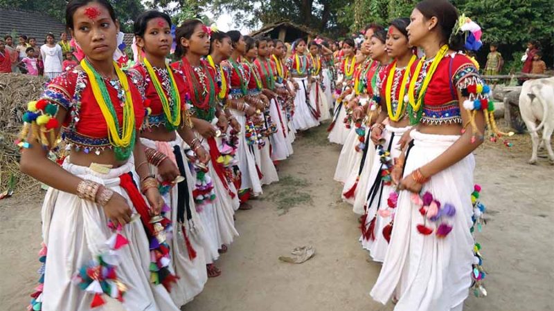 थारू बस्तीमा सखिया नृत्यको रौनकता