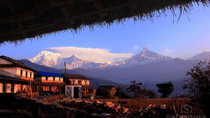 धम्पुसको नजर