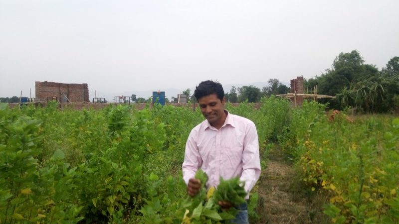 दाङमा रेशम खेतीका अगुवा बने महेश
