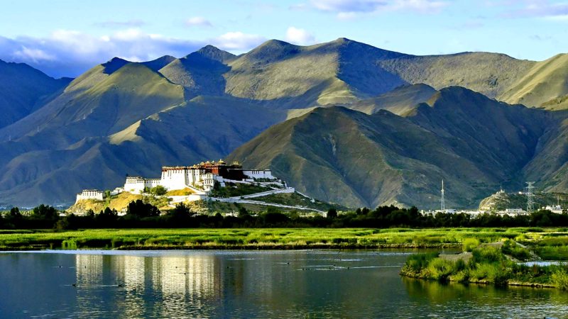 (190627) -- LHASA, June 27, 2019 (Xinhua) -- Photo taken on June 27, 2019 shows the view of the Lhalu wetland in Lhasa, southwest China's Tibet Autonomous Region. Lhalu wetland national nature reserve is known as "the Lung of Lhasa". (Xinhua/Zhang Rufeng)