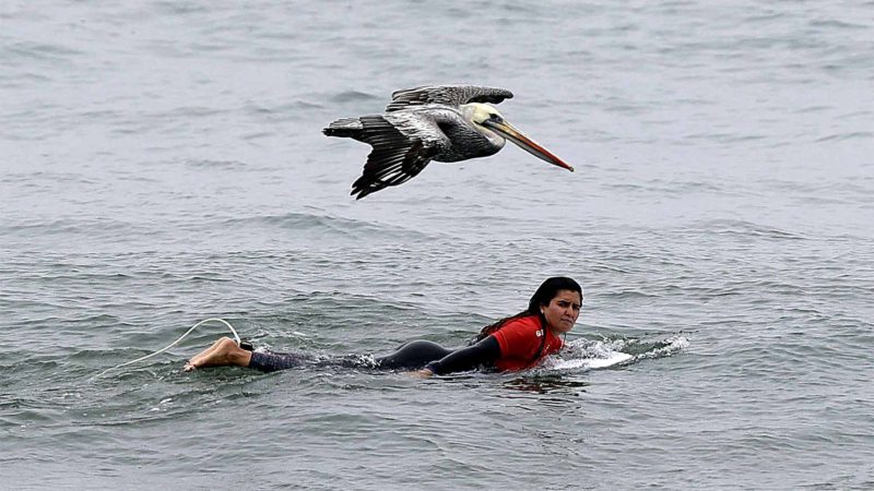 A surfer prepares to participate in the Pan American Games women's short board competition on Punta Rocas beach in Lima Peru, Sunday, July 28, 2019. The sport is featured for the first time in the Games. (AP Photo/Silvia Izquierdo)