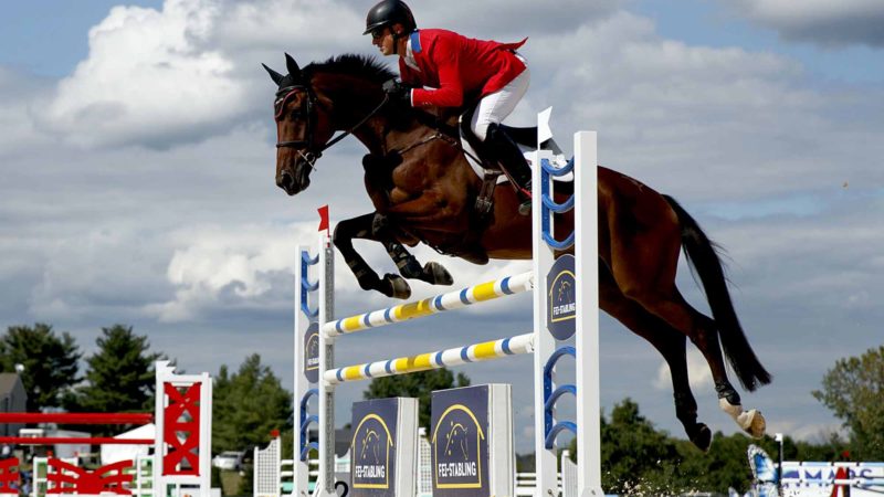 Doug Payne competes on his horse Quantum Leap during the show jumping competition at the MARS Great Meadow International equestrian event in The Plains, Va., Saturday, Aug. 24, 2019. Just after Boyd Martin, Lynn Symansky and Doug Payne won gold at the Pan American Games and qualified the U.S. eventing team for the 2020 Tokyo Olympics, they and other top eventers were in Virginia for another international competition, the MARS Great Meadow International. (AP Photo/Carolyn Kaster)