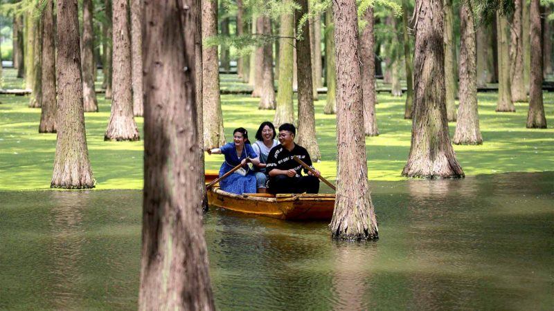 TOPSHOT - This photo taken on August 3, 2019 shows tourists riding a boat among trees at Luyanghu Lake wetland park in Yangzhou in China's eastern Jiangsu province. (Photo by STR / AFP) / China OUT