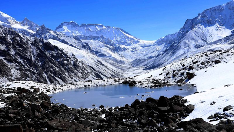 तस्विरमा ठुलो कोइकी