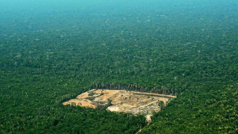 (FILES) This aerial file photo taken on September 22, 2017 shows deforestation in Amazonas state, Brazil. - Fires have raised the world's attention on the Amazon rainforest on August 2019, but there are other menaces it faces, such as mining, settlements, agriculture, cattle raising and logging. (Photo by CARL DE SOUZA / AFP)