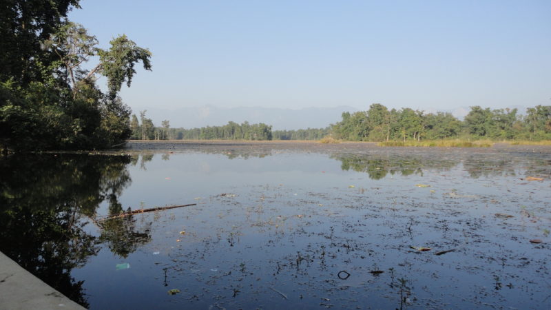 अतिक्रमणको जोखिममा घोडाघोडी ताल