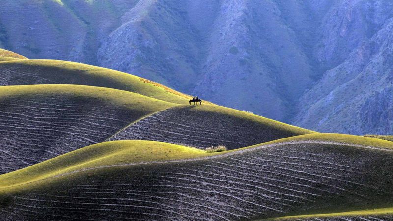 (190815) -- BEIJING, Aug. 15, 2019 (Xinhua) -- Photo taken on Aug. 13, 2019 shows a scenery on the Kalajun grassland in Tekes County, northwest China's Xinjiang Uygur Autonomous Region. (Xinhua/Hu Huhu)