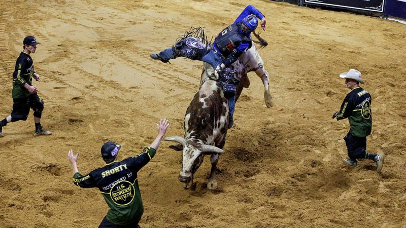 Ryan Dirteater rides M.A.G.A. during the championship round of the Professional Bull Riding competition in Tulsa, Okla., on Sunday, Aug. 11, 2019. (Megan Ross/Tulsa World via AP)