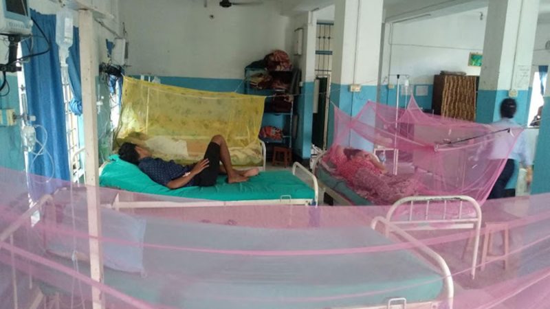 डेङ्गुको सङ्क्रमणः झुल टाँगेर उपचार