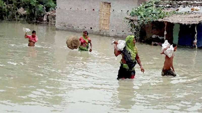 बाढीको राजनीति