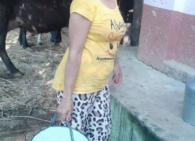 स्नातकोत्तर पछि गाईपालन: ‘काम गर्न नेपाल छाडेर विदेश जानुपर्दैन’