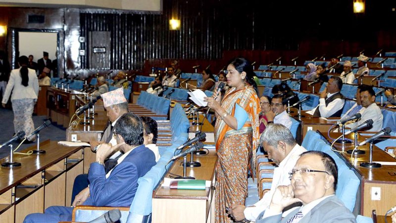 शून्य समयमा डेङ्गुदेखि बाघ आतङ्कसम्म