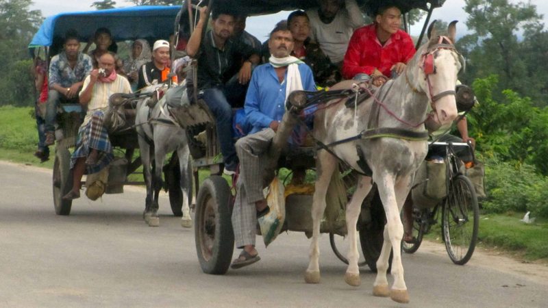 चाडपर्व मनाउन फर्के नेपाली कञ्चनपुर, १३ असोज (रासस): रोजगारीका लागि भारतमा विभिन्न शहरमा गएका नेपालीहरु चाडपर्व मनाउन  कञ्चनपुरको गड्डाचौकी नाकाबाट घर फर्किदै । तस्बीरः शेरबहादुर सिंह