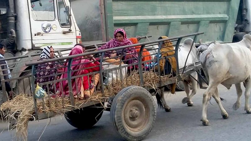 गर्भवती बोक्ने एम्बुलेन्स लडिया र बुकी