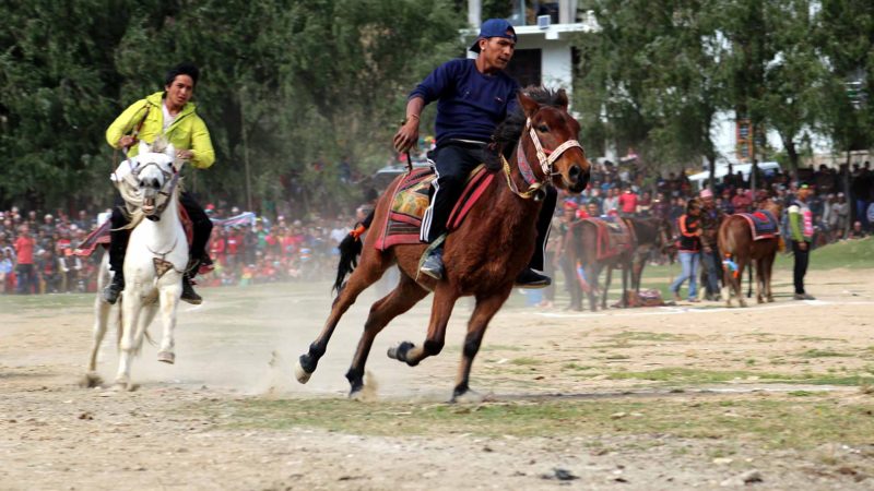 जुम्लाका घोडचढी