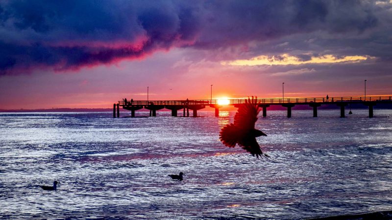 A crow flies by as the sun rises behind the sea bridge in Timmendorfer Strand, Germany, early Monday, Oct. 7, 2019. (AP Photo/Michael Probst)