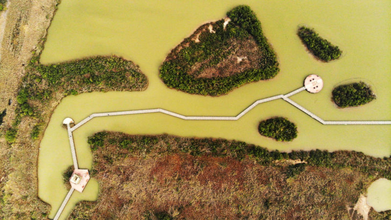 Aerial photo shows the Yellow River national nature reserve in east China's Shandong Province, Oct. 17, 2019. Xinhua/RSS 