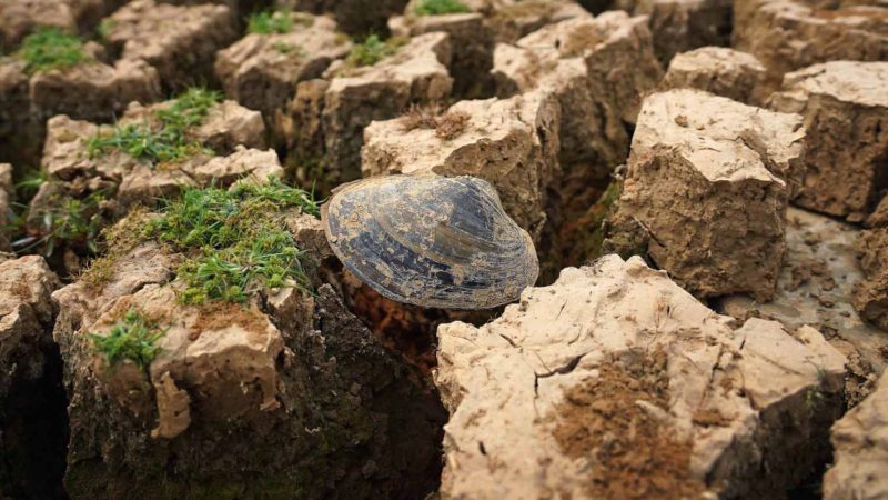 Photo shows a dried reservior bed of Gushantang reservior in Hongwan Village of Pingding Town in Yingtan, east China's Jiangxi Province. Average precipitation in Jiangxi was 96 mm from late July to early October, about 70 percent less than the average in the previous years. Xinhua/RSS