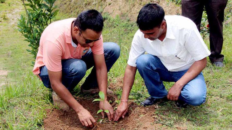 एक फलफूलको बोट : रु दशको नोट