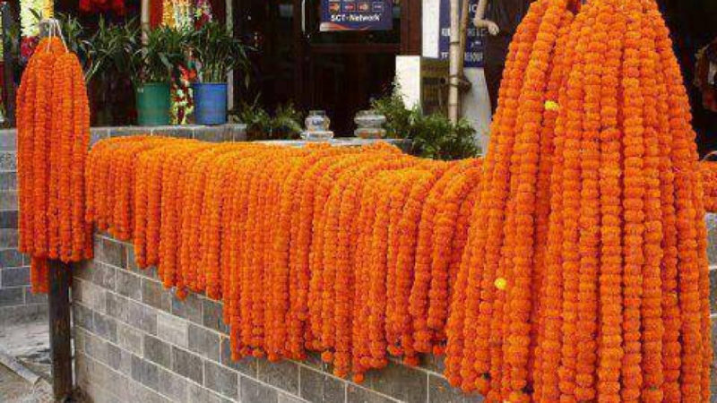 तिहारमा २५ लाख मालाको माग