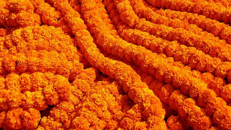 राजधानीवासीका लागि २५ लाख माला आवश्यक
