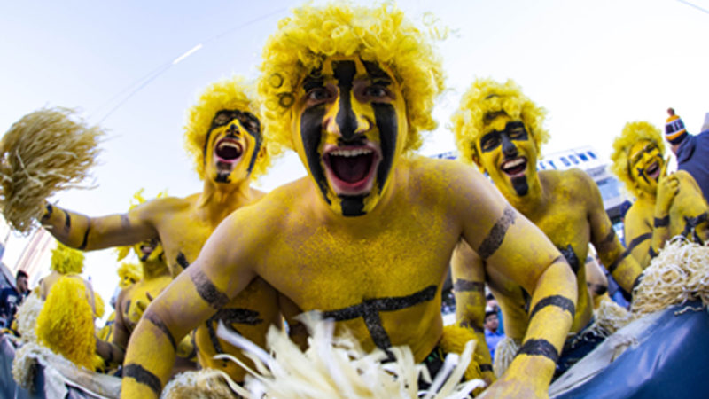 Georgia Tech Yellow Jackets fans react during the first half of a game against the Pittsburgh Panthers at Bobby Dodd Stadium on November 2, 2019 in Atlanta, Georgia. Getty Images/RSS