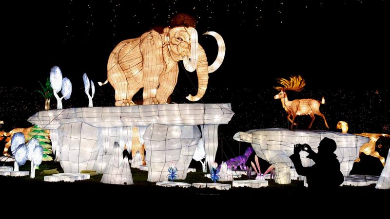 NEW YORK-- LED-lit lanterns are seen at the New York City Winter Lantern Festival in Staten Island, New York, the United States, Nov. 20, 2019. The second annual New York City Winter Lantern Festival kicked off on Wednesday, as thousands of colorful Chinese lanterns lit up a 10-acre area of the city's Staten Island borough. Xinhua/RSS.