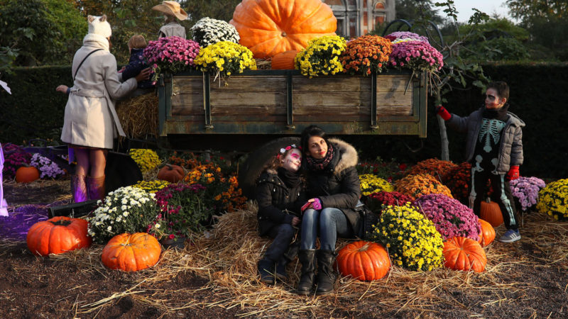 Visitors pose for photos in front of a Halloween decoration at Pairi Daiza zoo in Brugelette, Belgium, Oct. 31, 2019. A series of activities were held at the zoo to celebrate the Halloween, attracting numbers of locals and tourists. Xinhua/RSS