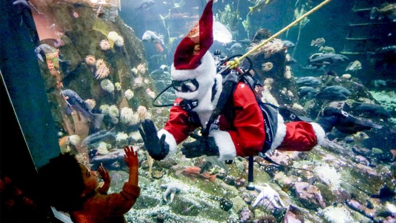 VANCOUVER -- A diver dressed as Santa Claus interacts with a child from a fish tank at Vancouver Aquarium in Vancouver, Canada, Nov. 24, 2019. A performer dressed as Santa Claus dived in the giant fish tank to send holiday greetings to the crowds at the event of Scuba Claus Dive in Vancouver Aquarium. Xinhua/RSS.