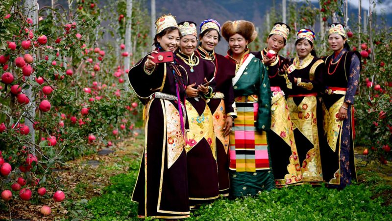 LHASA, Nov. 17, 2019 (Xinhua) -- Villagers pose for a group photo at the standardized apple cultivation demonstration park in Lingpa Village of Chanag Township in Mainling County of Nyingchi City, southwest China's Tibet Autonomous Region, Oct. 26, 2019.    Since 2014, Xie Hongjiang and his team have visited Tibet more than 40 times to help modernize local apple orchards.     The 46-year-old doctor has studied plateau apple cultivation for 12 years. He is warmly welcomed by the locals in Nyingchi City, as he always finds ways to share his theories with villagers.     There are over 1,500 hectares of apple orchards in Mainling, a county that is administered by Nyingchi. But "over 80 percent were not very productive," said County Chief Cewang Nyima.     Not only did Xie Hongjiang's team offer workable solutions to issues that had been troubling villagers for years, the new techniques had the added bonus of reducing fertilizer, labor and land use by half.     "The conditions here are particularly favorable for growing organic apples," the professor said.     The proof, as they say, is in the pudding; and these former small and sour apples are now big and sweet -- perfect for an apple pie! Xinhua/RSS.