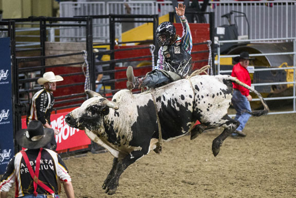 Cowboy Mirko Martineau of Canada competes during the Bull Riding competition of the Rodeo at the 2019 Royal Agricultural Winter Fair in Toronto, Canada, Nov. 10, 2019. About 30 riders from Australia, Brazil, Canada and the United States took part in this annual event. Photo/RSS