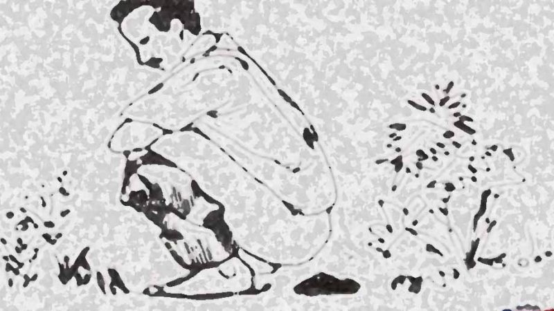 के हो खुला दिसा मुक्त देश भनेको ?