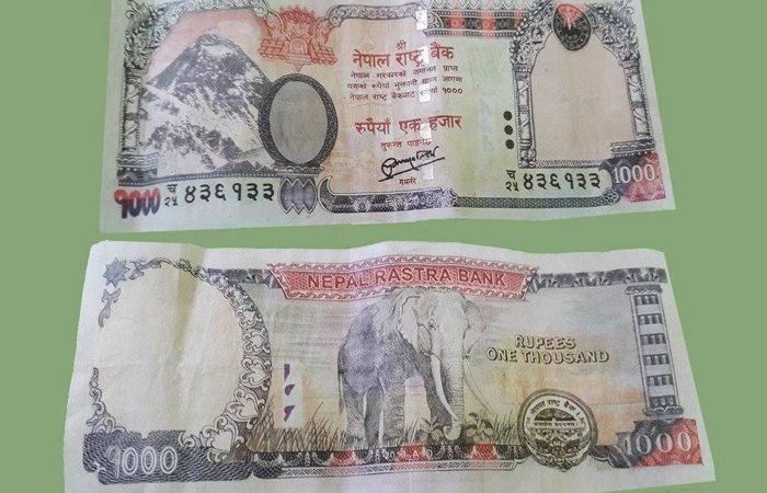 एक हजार र पाँच सयका नक्कली नोट फेला
