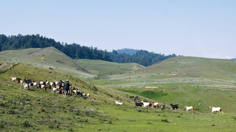 भूस्वर्गमा भ्रष्टाचार : ५० करोड सकियो, गोरेटोसमेत बनेन