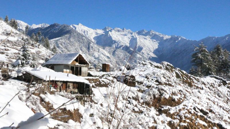 उच्च हिमाली भेगमा पुनः हिमपात, विद्युत् सेवा समेत अवरुद्ध