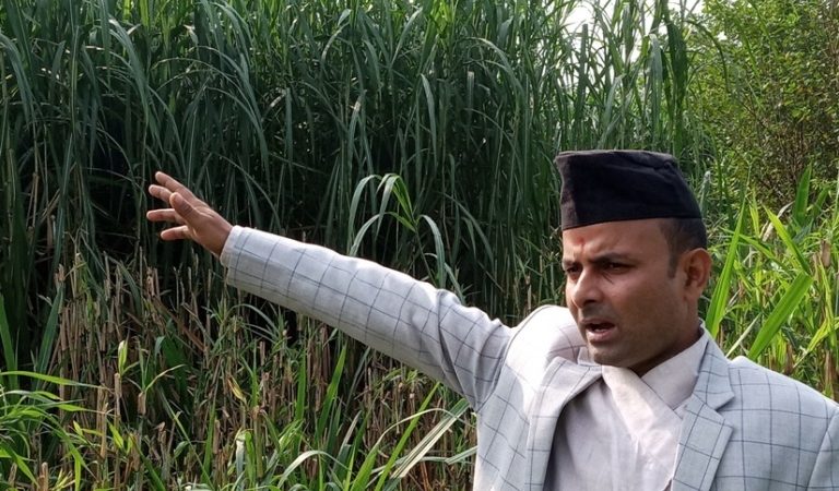 यी हुन् भेडाबारीका ‘बिल गेट्स’