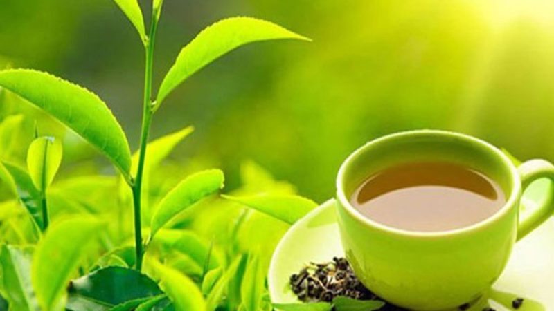 एकपाते सुइरोमा विदेशी मख्ख