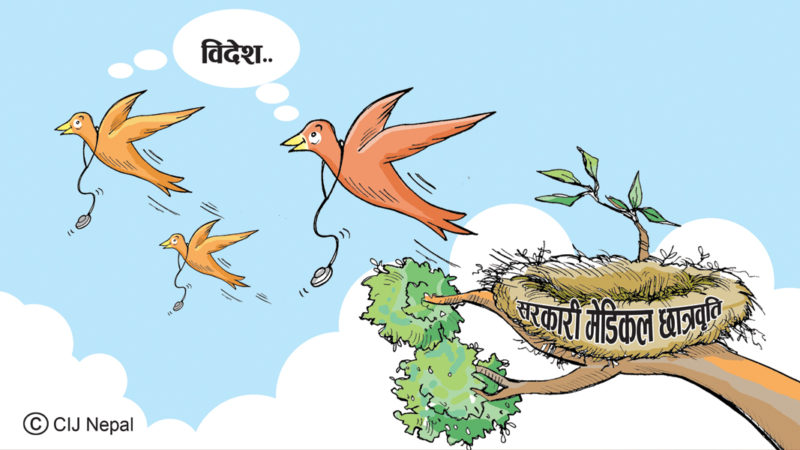 पढाइ खर्च देशको, सेवा विदेशको