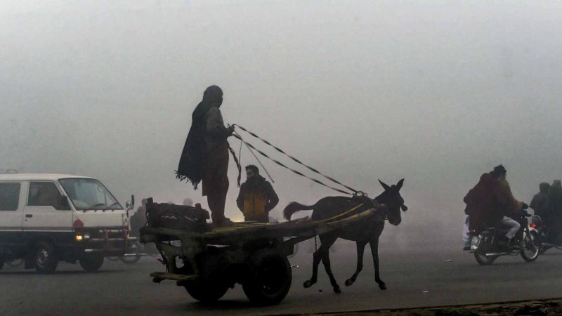 A man rides a horse cart (C) as other commuters make their way on a road during a cold and foggy morning in Lahore on January 16, 2020. (Photo by Arif ALI / AFP)