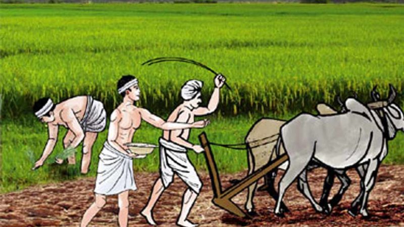 किसानका पीडा : पुरस्कार अठन्नी, खर्च रुपैयाँ !
