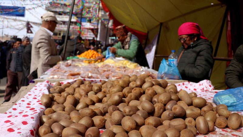 दोलखामा भ्रमण वर्षको आकर्षण  किवी महोत्सव (फोटो फिचर)