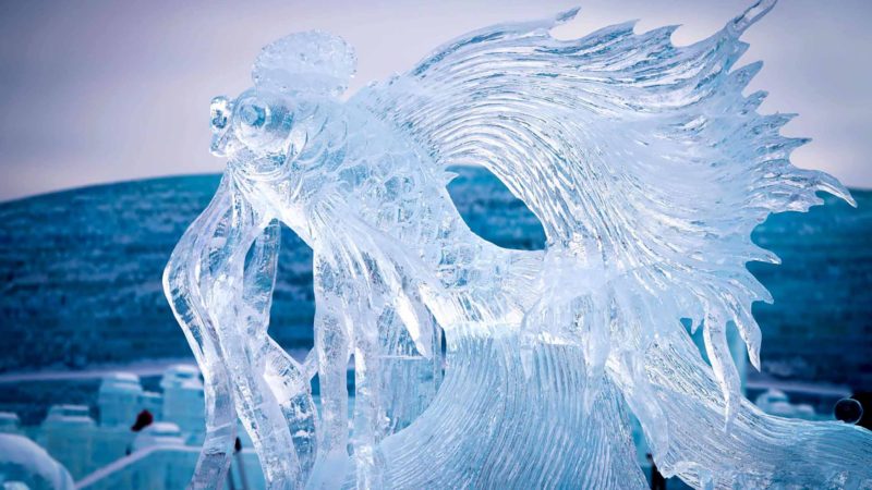 HARBIN -- An ice sculpture is pictured at the Harbin Ice and Snow World in Harbin, northeast China's Heilongjiang Province, Jan. 8, 2020. (Xinhua/Wang Song)